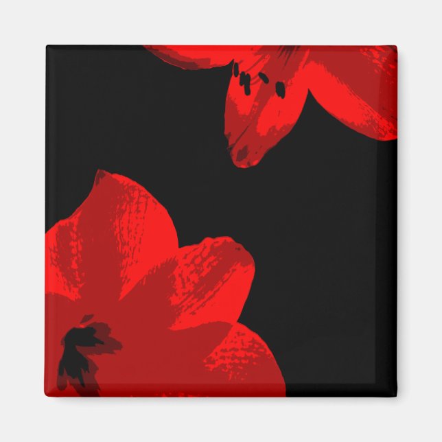 röd amaryllis duo magnet (Framsidan)