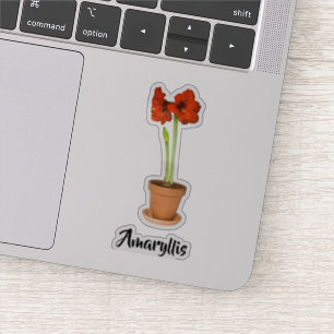 Röd Amaryllis Floral Photography cut out Klistermärken
