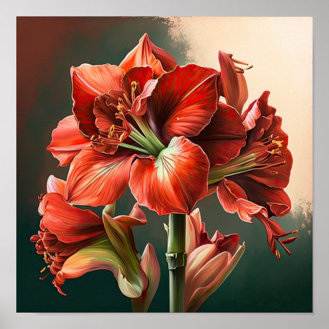 Röd Amaryllis Flower Art Print Poster (Framsidan)