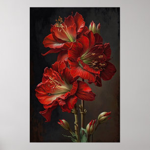 Röd Amaryllis Flower Art Print Poster