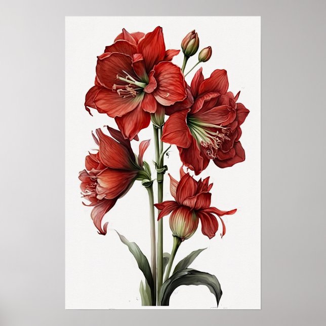 Röd Amaryllis Flower Art Print Poster (Framsidan)