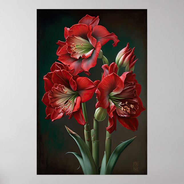Röd Amaryllis Flower Art Print Poster (Framsidan)
