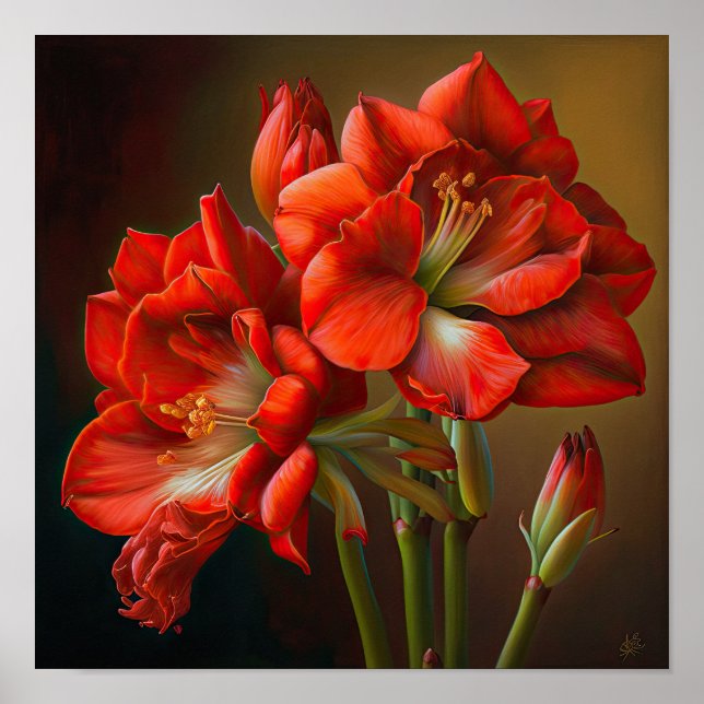 Röd Amaryllis Flower Art Print Poster (Framsidan)