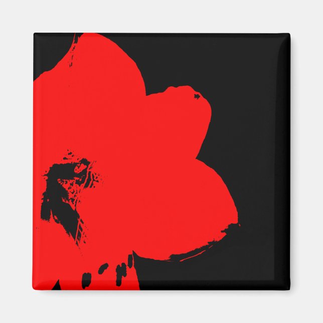 röd amaryllis magnet (Framsidan)