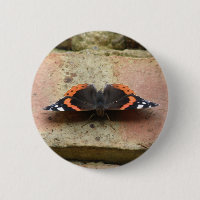 Röd amiral Butterfly Butterfly Button