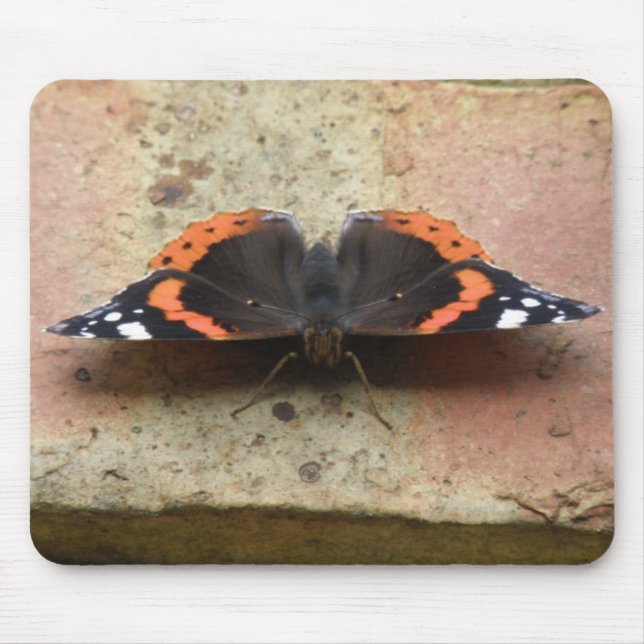 Röd amiral Butterfly Mousepad Musmatta (Framsidan)