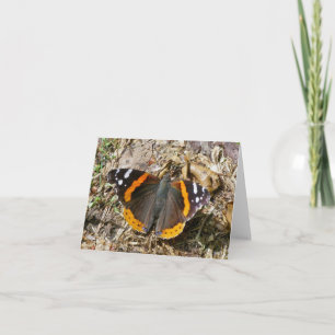 Röd amiral Butterfly Note Card Kort