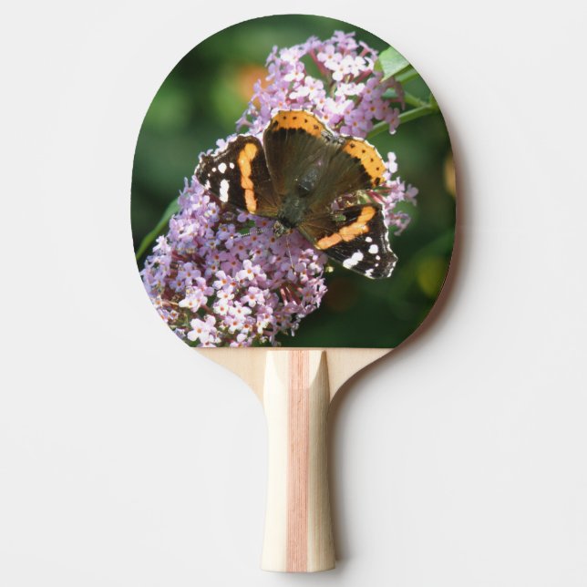 Röd amiral Butterfly och Buddleia Ping Pong Pingisracket (Framsidan)