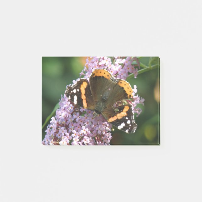 Röd amiral Butterfly och Buddleia Post. Post-it Block (Framsida)