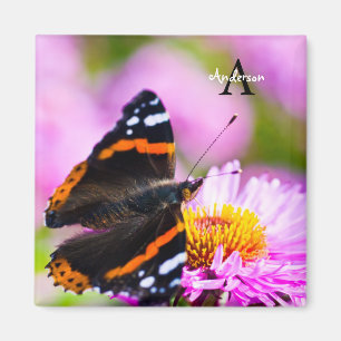 Röd amiral butterfly på en blomma. magnet
