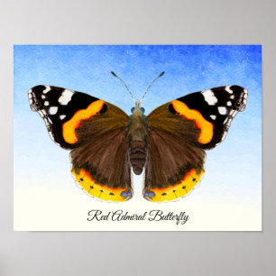 Röd amiral Butterfly Watercolor Painting Poster