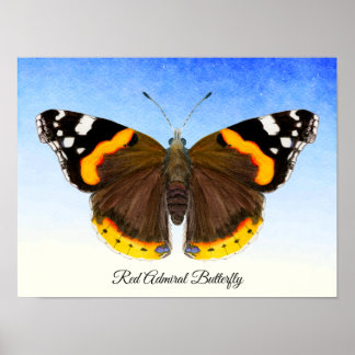 Röd amiral Butterfly Watercolor Painting Poster