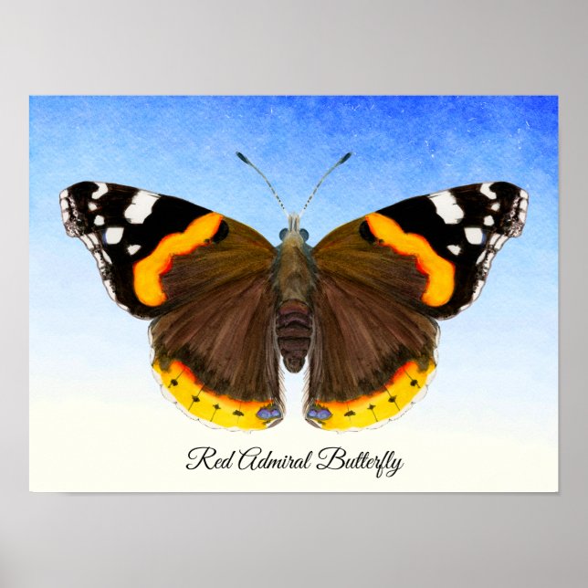 Röd amiral Butterfly Watercolor Painting Poster (Framsidan)