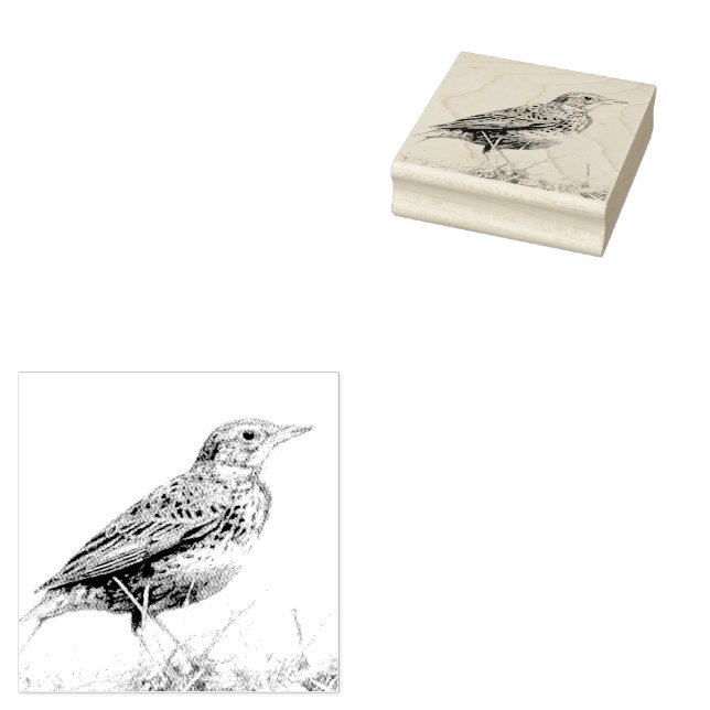 Röd ängstrup Poststämpel Stämpel (Stämplad)