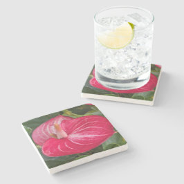 Röd Anthurium Blommande Blomma Stenunderlägg