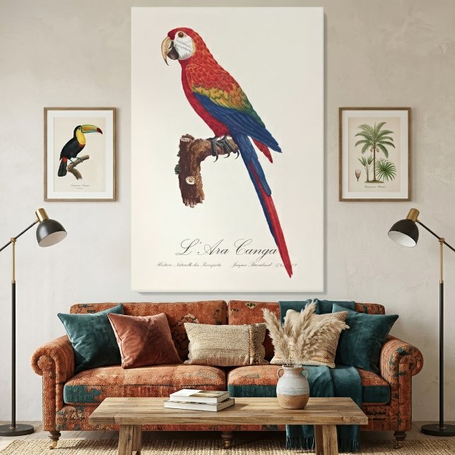 Röd ara eller Blå-gul ara är inte korrekt, det kor Canvastryck (Scarlet Macaw or Red-Breasted Macaw, Ara macao. Canvas Print)