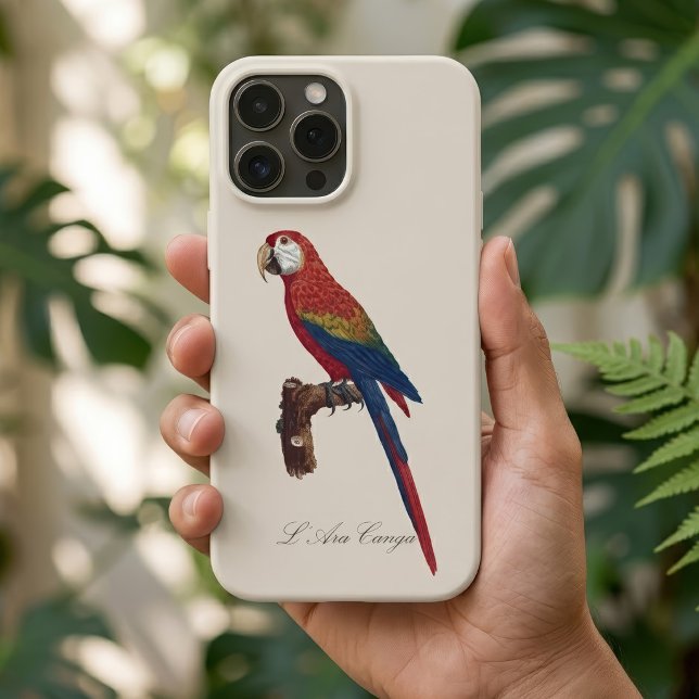Röd ara eller Blå-gul ara är inte samma sak, men R (Scarlet Macaw or Red-Breasted Macaw, Ara macao. iPhone Case)