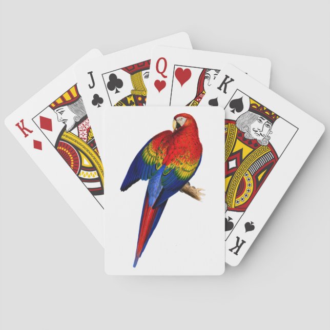 Röd Ara Färgrik Regnskogsfågel Casinokort (Baksidan)