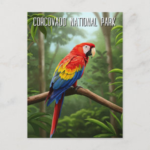 Röd ara i Corcovado nationalpark Resa Vykort