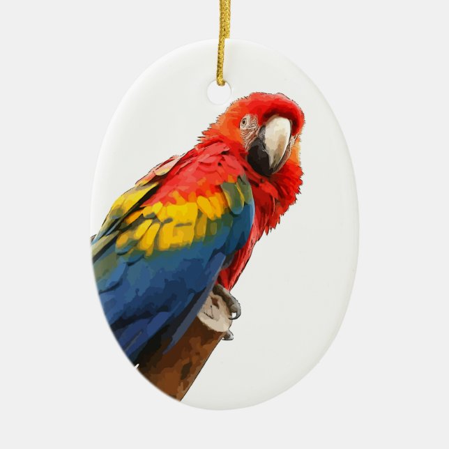 Röd Ara Oval Ornament (Framsidan)