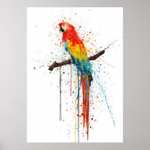 Röd Ara Poster