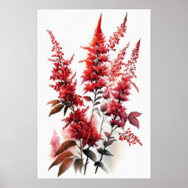 Röd Astilbe Flower Art Print Poster