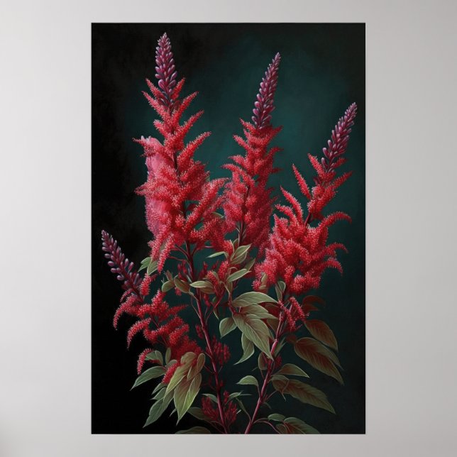 Röd Astilbe Flower Art Print Poster (Framsidan)