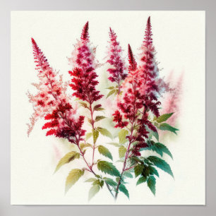Röd Astilbe Flower Art Print Poster