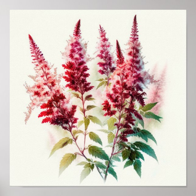 Röd Astilbe Flower Art Print Poster (Framsidan)