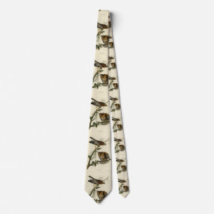 Röd-axlad Hawk - Audubon's Birds of America Slips