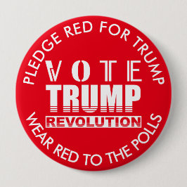 Röd Bära i valkampanjen 2020 Knapp