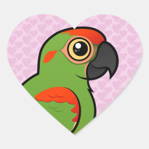 Röd-beklädd Macaw Hjärtformat Klistermärke