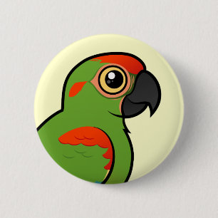 Röd-beklädd Macaw Knapp