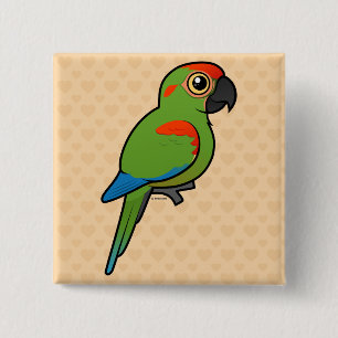 Röd-beklädd Macaw Knapp