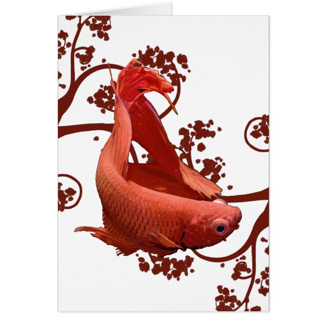 Röd Betta Siamese stridighetfisk Hälsningskort (Framsidan)
