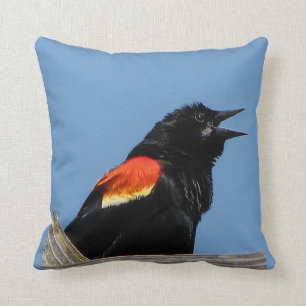 Röd bevingad Blackbird Kudde