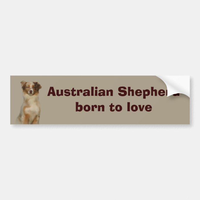 Röd bildekal för australian shepherd (Framsidan)