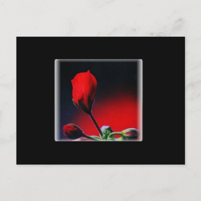 Röd blomkruka Valentine vykort (Framsida)