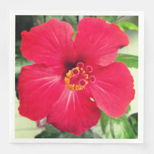 Röd blomma av Hibiscus Rosa-sinensis Pappersservett
