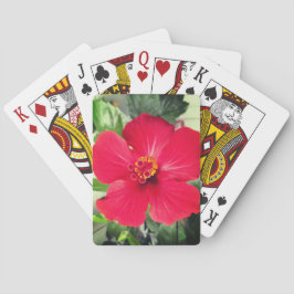 Röd blomma från Hibiscus Rosa-sinensis Casinokort