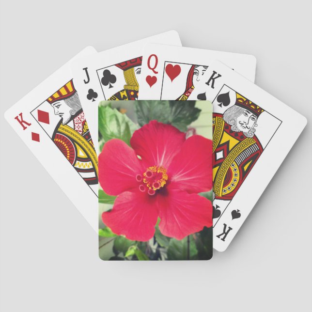 Röd blomma från Hibiscus Rosa-sinensis Casinokort (Baksidan)