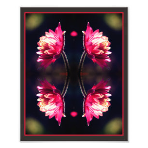 Röd blomma i solljus Spegel Abstrakt 8 x 10 Fototryck
