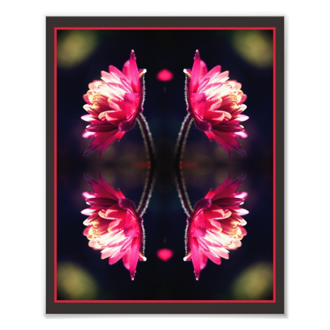 Röd blomma i solljus Spegel Abstrakt 8 x 10 Fototryck (Framsidan)