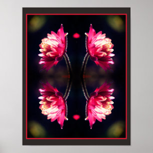 Röd blomma i solljus Stäng upp Spegel Abstrakt Poster