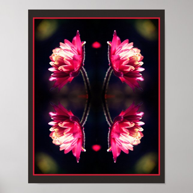 Röd blomma i solljus Stäng upp Spegel Abstrakt Poster (Framsidan)