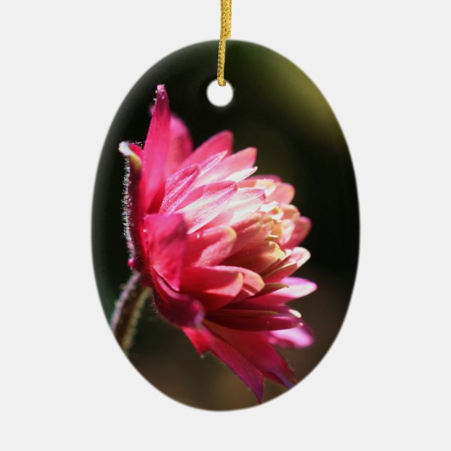 Röd blomma i solljusprydnad julgransprydnad keramik (Framsidan)