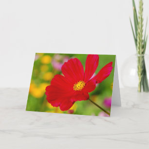 Röd blomma kort