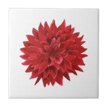 Röd blomma med vattenfärg