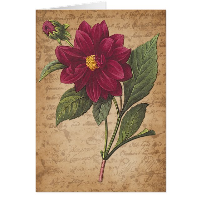 Röd blomma och Brev Hälsningskort (Framsidan)