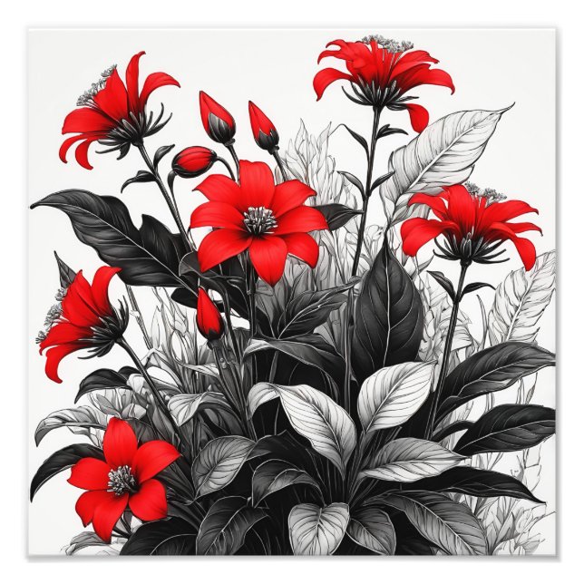 Röd blomma på svartvit växt fototryck (Framsidan)